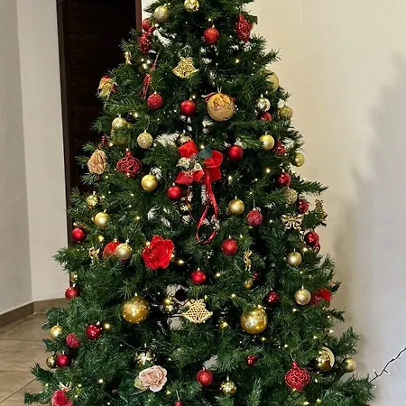 Virgilio מלון 3*